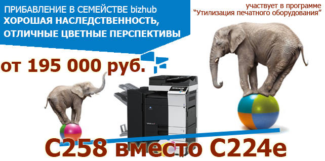 С258 - хорошая наследственность, отличные цветные перспективы