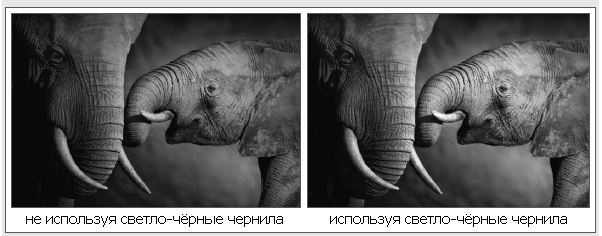 elefant.png